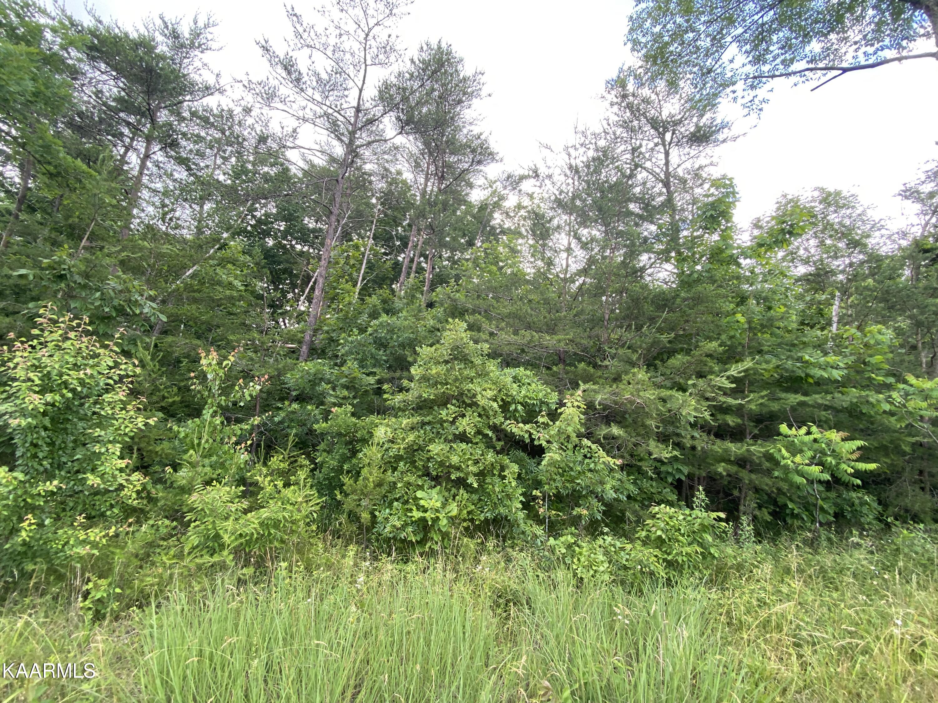 Taylor Road Crossville, TN 38572 - Photo 3 of 6 3