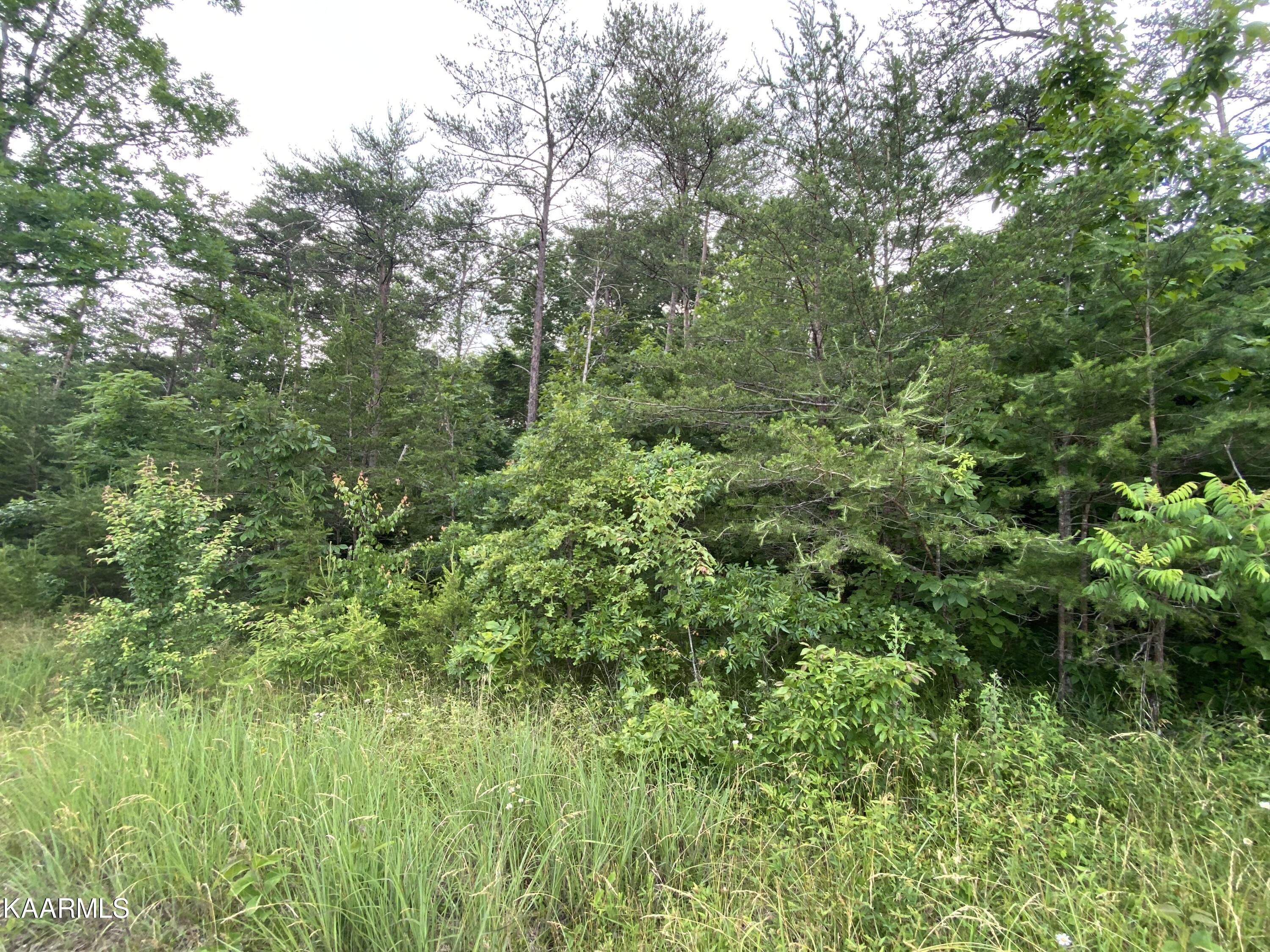 Taylor Road Crossville, TN 38572 - Photo 4 of 6 4