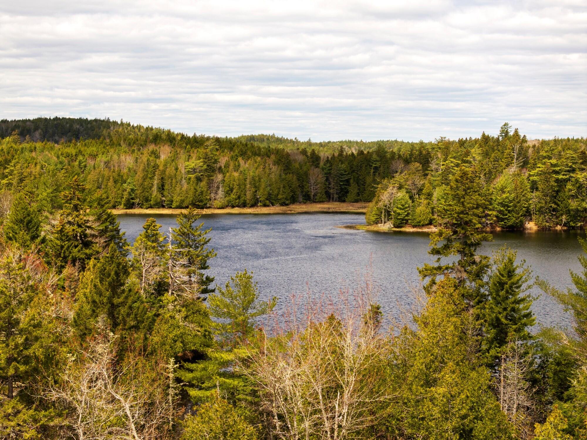 12 Map, Unit 7A Whiting, ME 04691 - Photo 2 of 12 LittleLakeLand_001