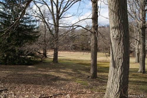 182 Tuxedo Road Tuxedo Park, NY 10987 - Photo 5 of 9 a view of a yard with trees