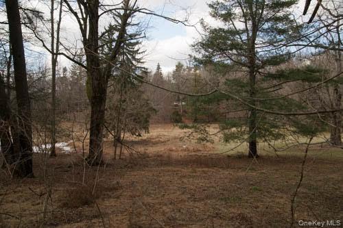 182 Tuxedo Road Tuxedo Park, NY 10987 - Photo 6 of 9 a view of a yard with a tree