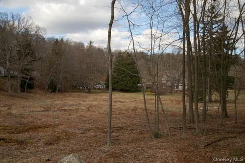 182 Tuxedo Road Tuxedo Park, NY 10987 - Photo 7 of 9 a view of a forest