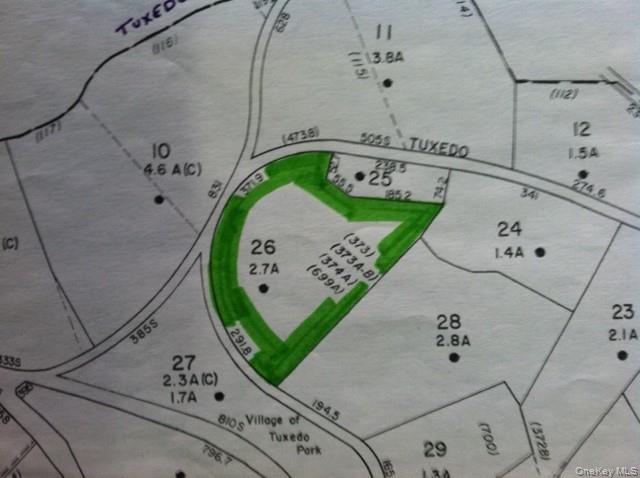 182 Tuxedo Road Tuxedo Park, NY 10987 - Photo 8 of 9 an aerial view of a swimming pool