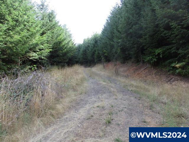 0 Northwest Crane (4) Road Yamhill, OR 97148 - Photo 2 of 12