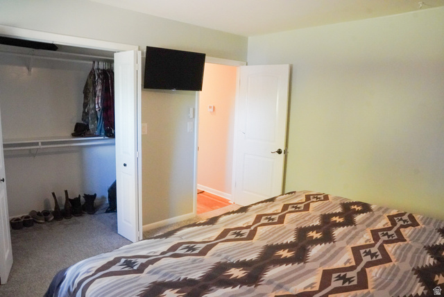 324 Stringtown Road Georgetown, ID 83239 - Photo 19 of 49 Bedroom featuring a closet and light carpet