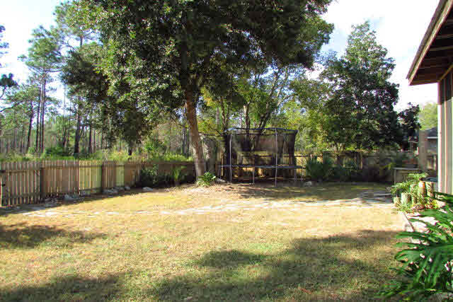 24602 Tarpon Lane Orange Beach, AL 36561 - Photo 32 of 40 Backyard