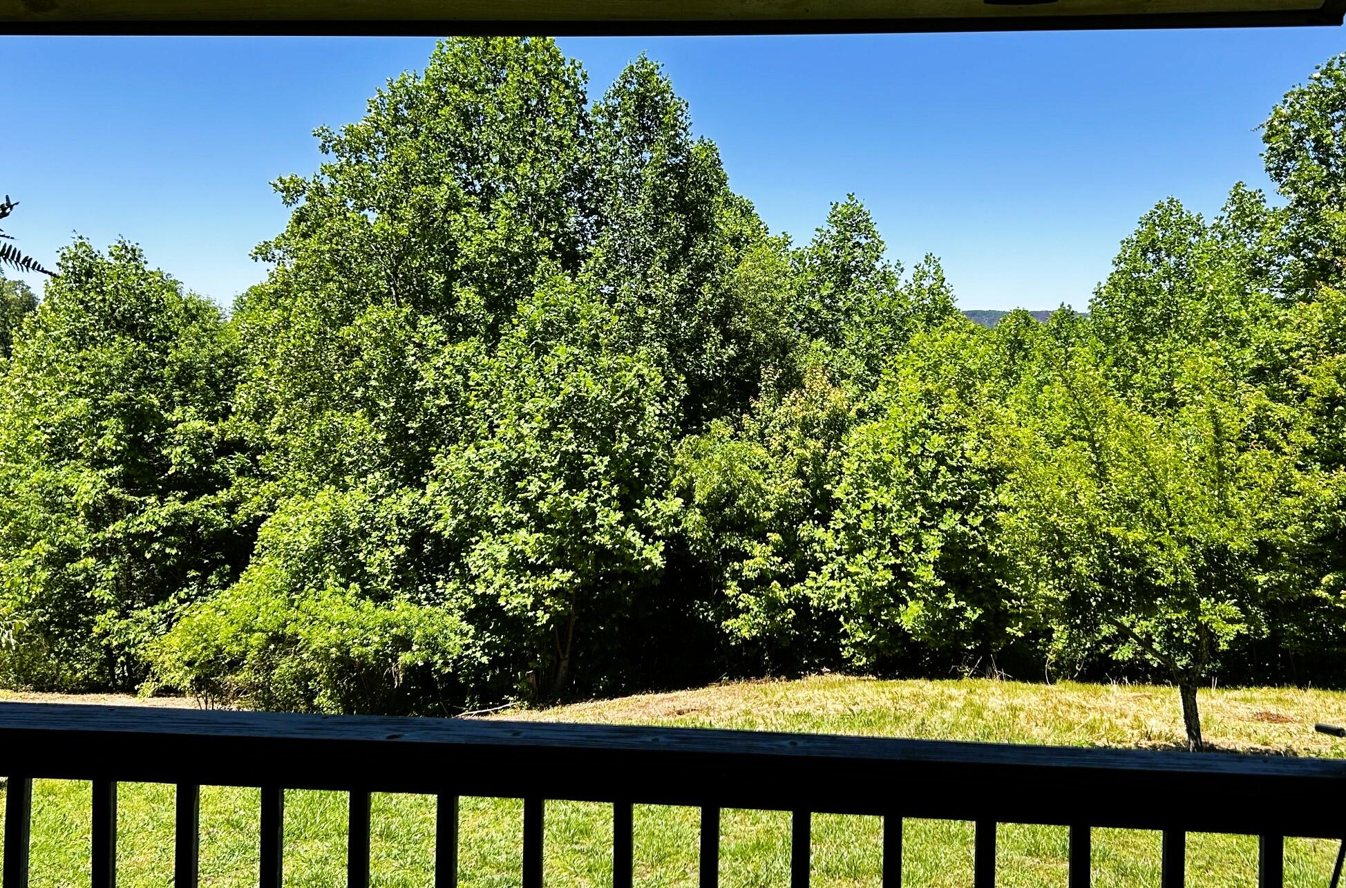 161 Willie Shell Road Reliance, TN 37369 - Photo 9 of 70 willie views porch sitting