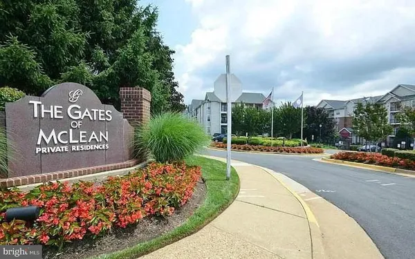 a view of a park with potted plants