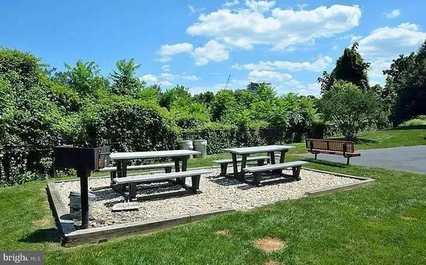 a view of a bench in the garden
