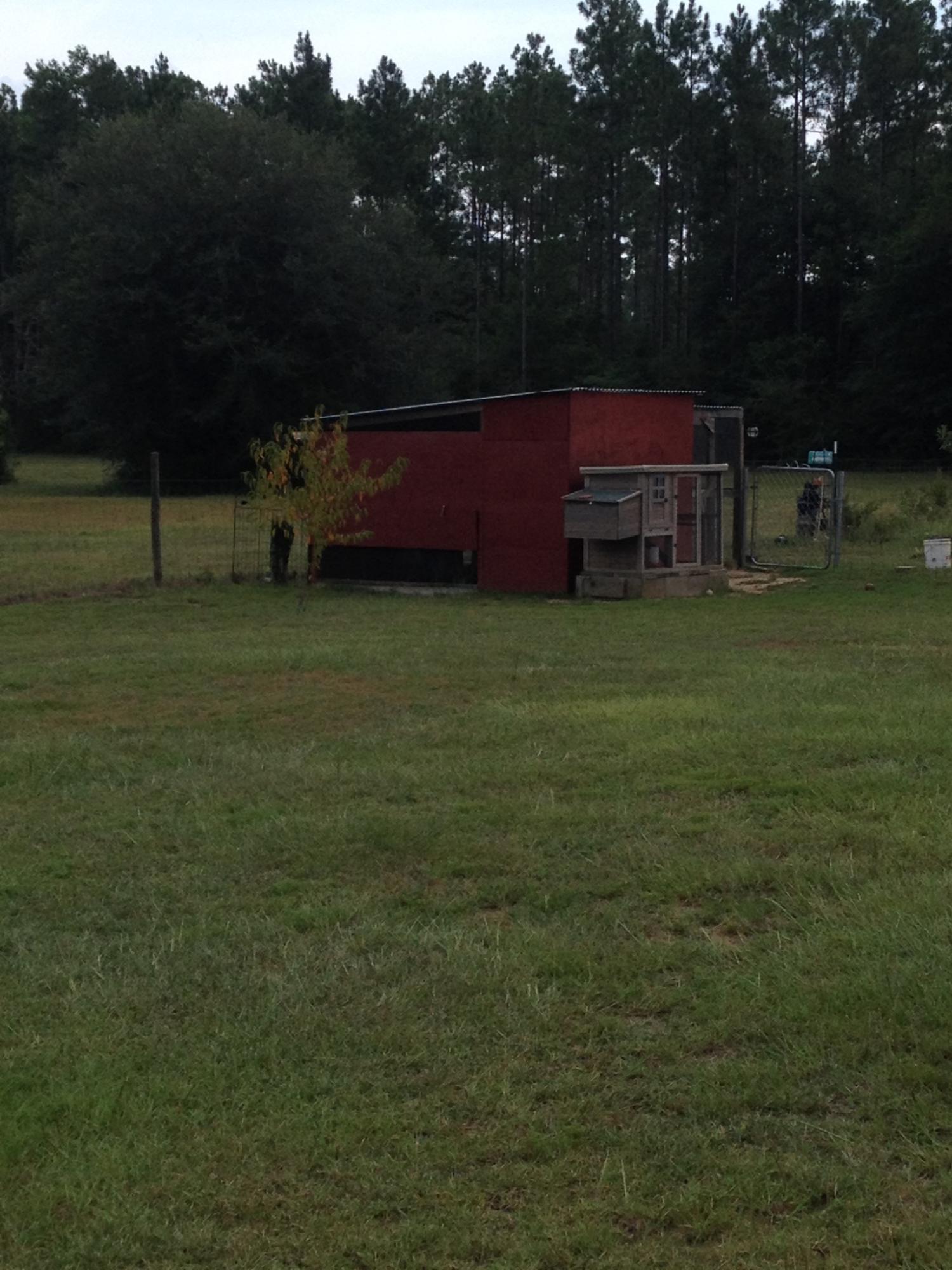 470 Huckaba Road Laurel Hill, FL 32567 - Photo 17 of 22 Gallery Image 17
