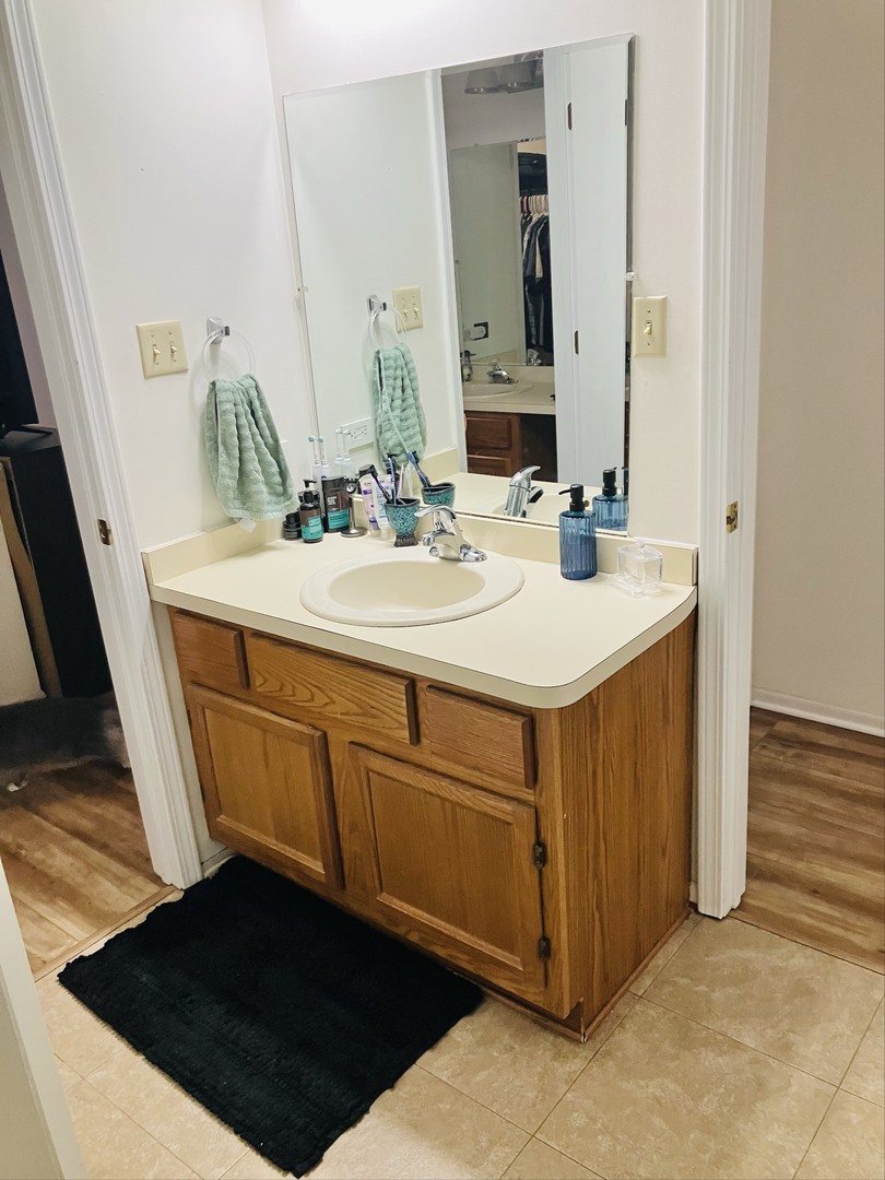 3524 Willowview Court Aurora, IL 60504 - Photo 11 of 12 a bathroom with a sink vanity and mirror