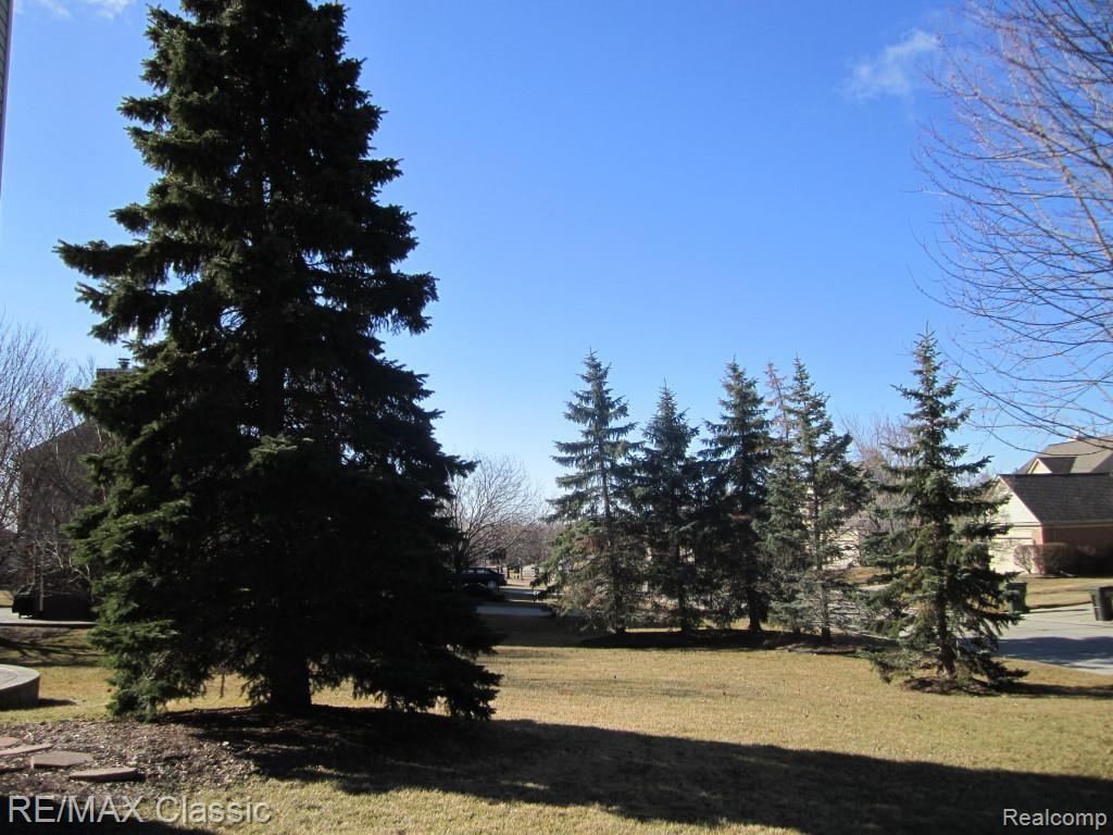 2393 Pleasant View Drive Rochester, MI 48306 - Photo 38 of 40 beautiful trees.jpg