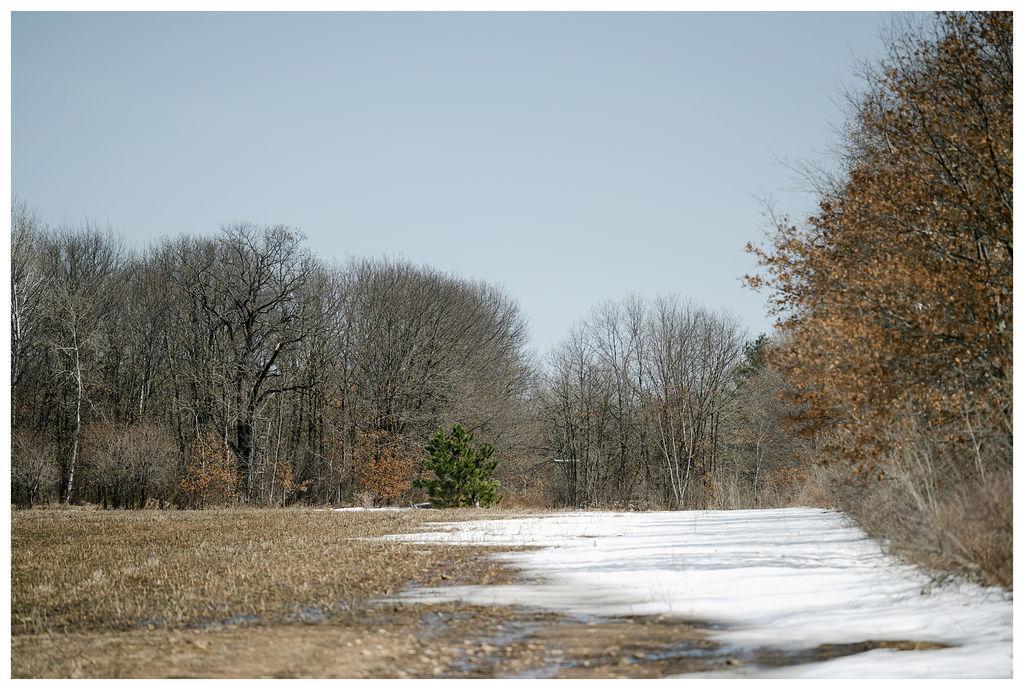 45 County Road 45 South Fort Ripley, MN 56449 - Photo 1 of 1 Gallery Image 1