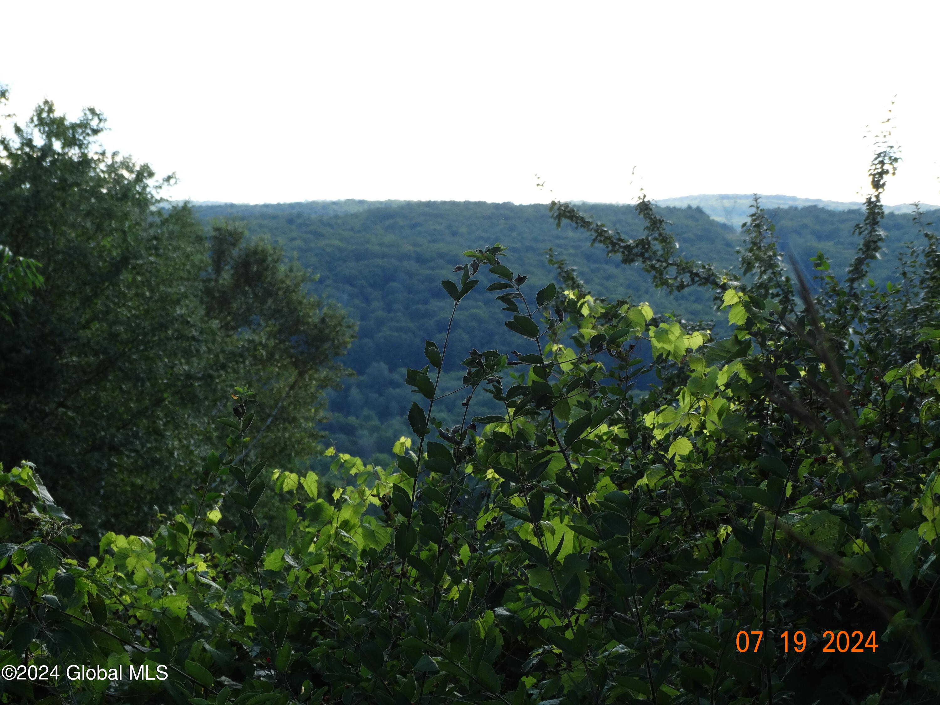 Tbd Tbd Stewart Road Berne, NY 12023 - Photo 1 of 8 mountain view