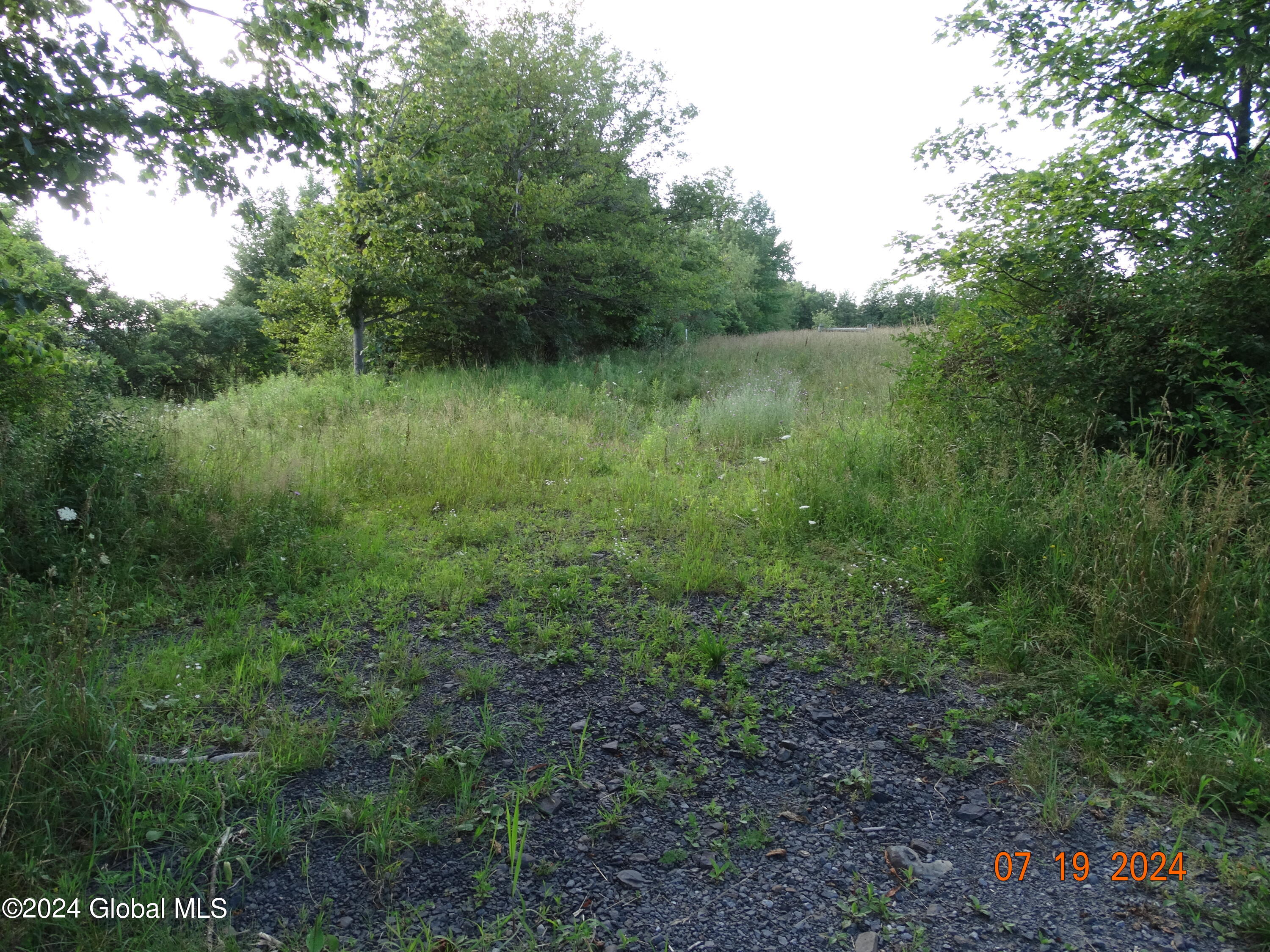 Tbd Tbd Stewart Road Berne, NY 12023 - Photo 2 of 8 DSC00866