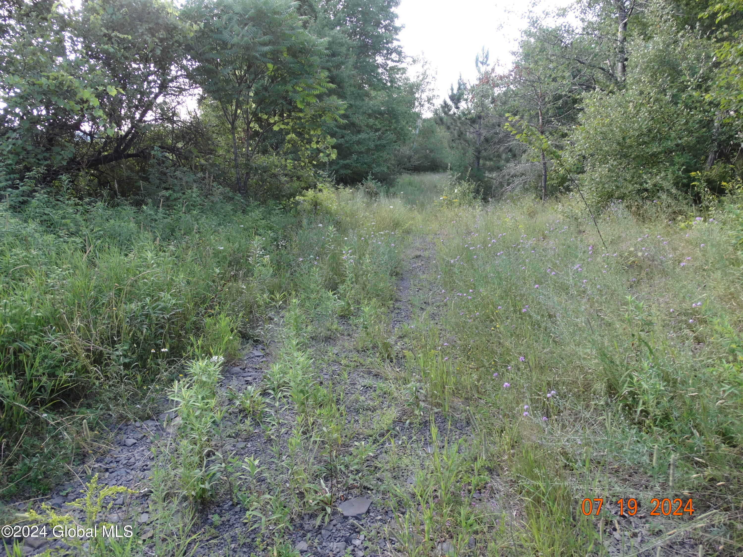 Tbd Tbd Stewart Road Berne, NY 12023 - Photo 3 of 8 DSC00867