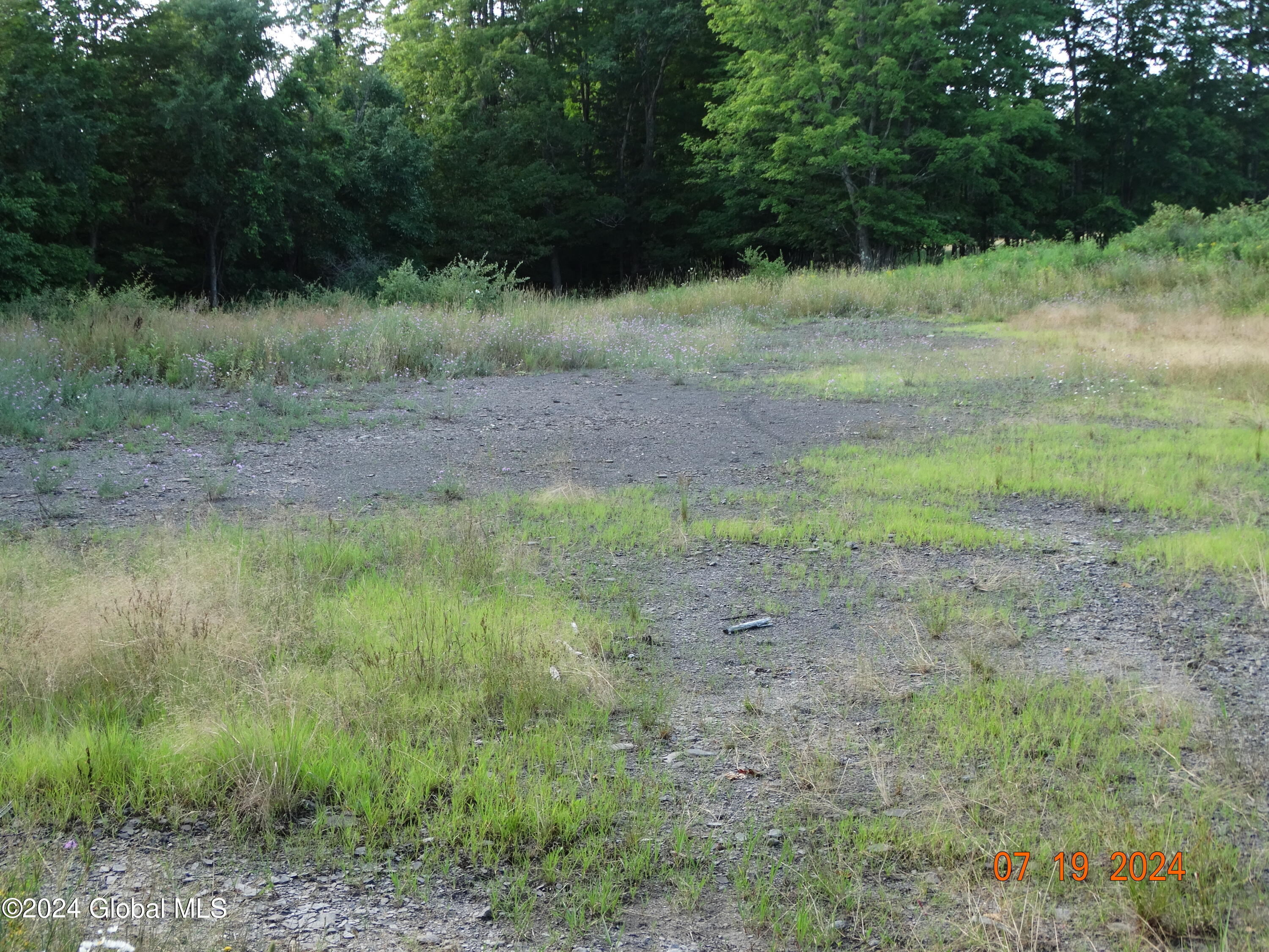 Tbd Tbd Stewart Road Berne, NY 12023 - Photo 4 of 8 DSC00869