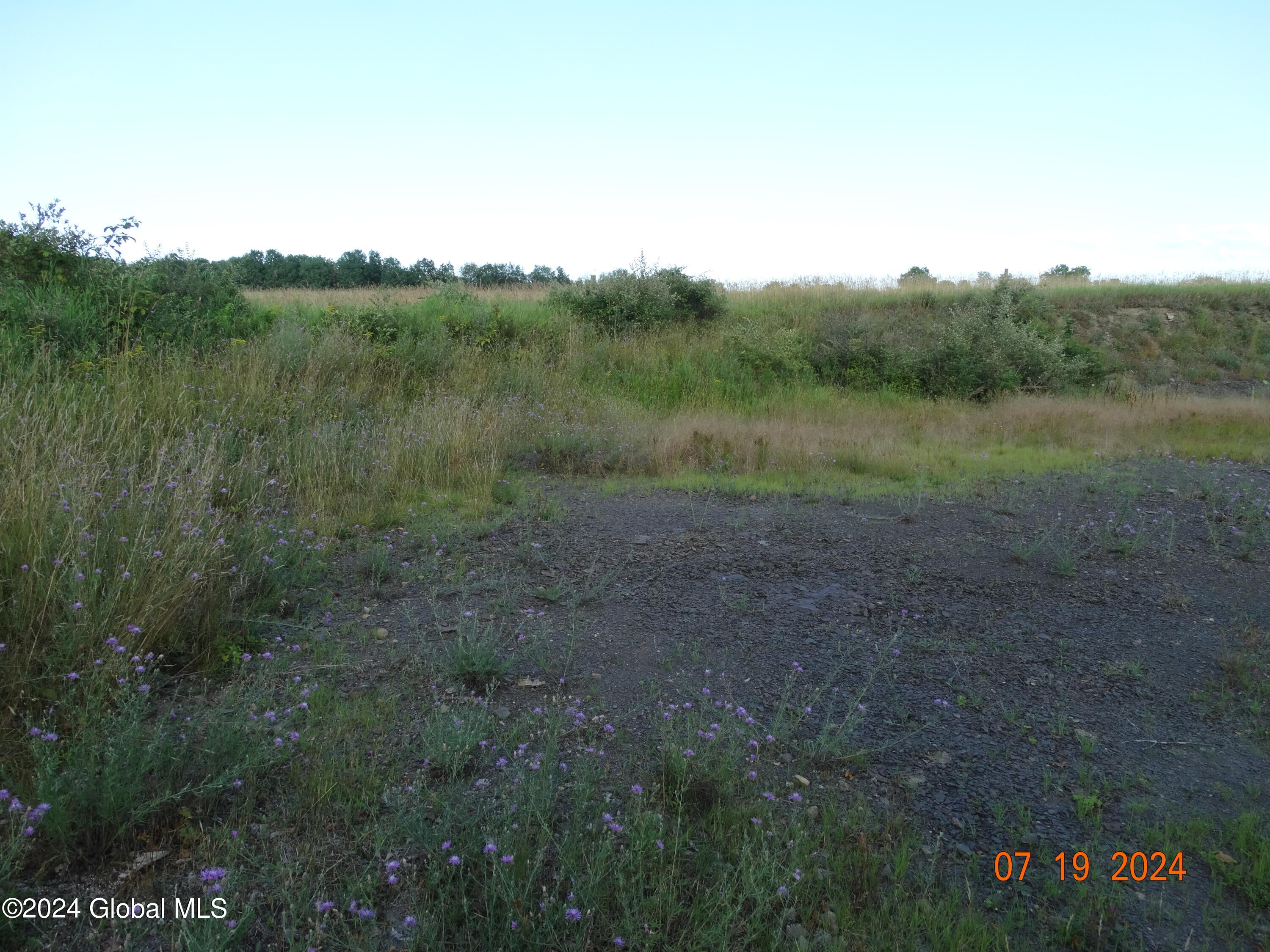 Tbd Tbd Stewart Road Berne, NY 12023 - Photo 5 of 8 DSC00870