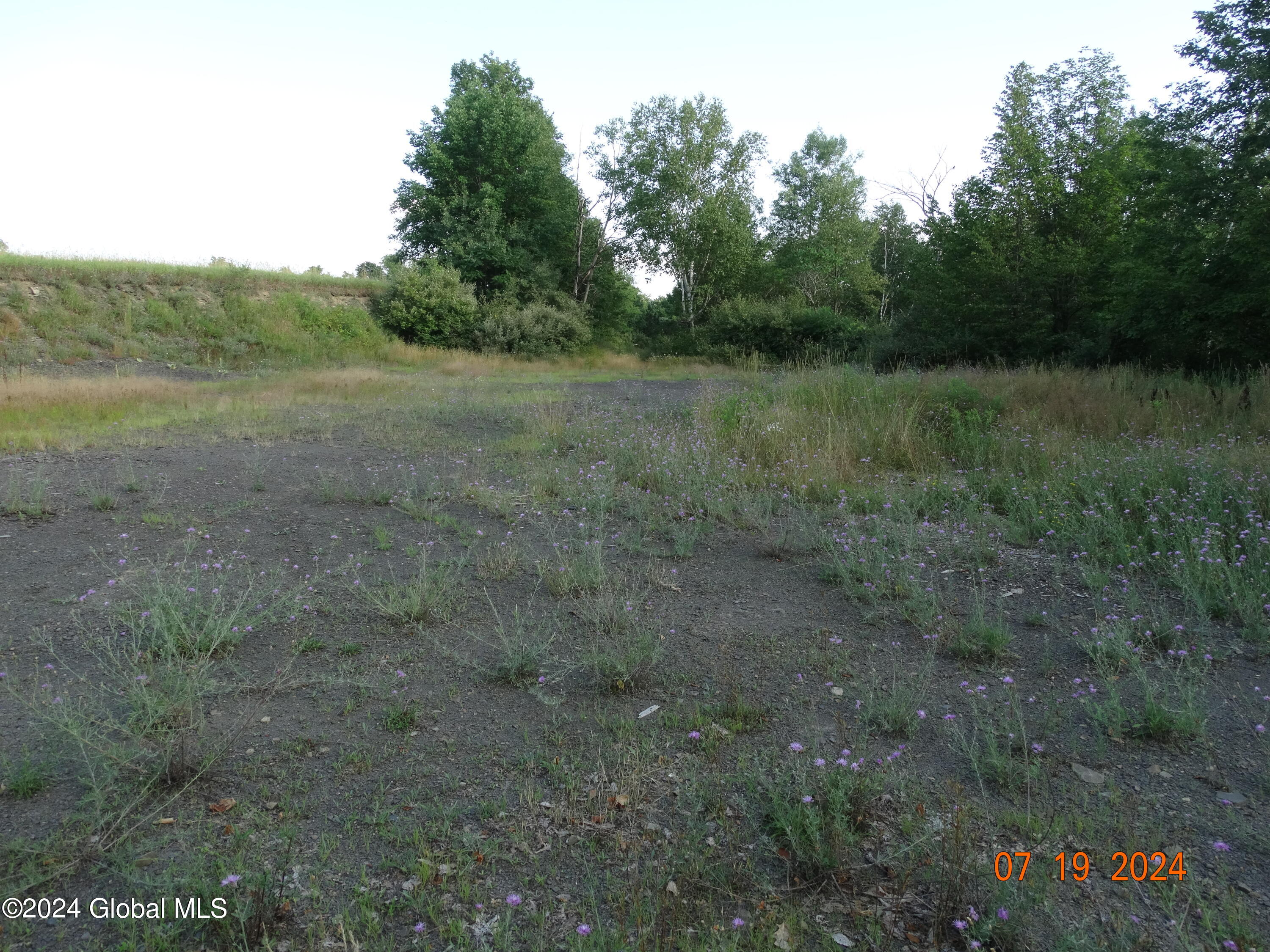 Tbd Tbd Stewart Road Berne, NY 12023 - Photo 6 of 8 DSC00871