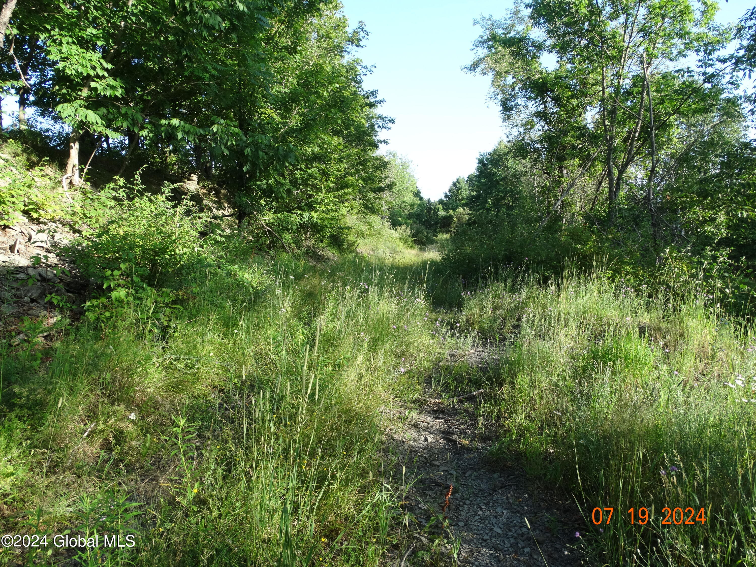 Tbd Tbd Stewart Road Berne, NY 12023 - Photo 7 of 8 DSC00872