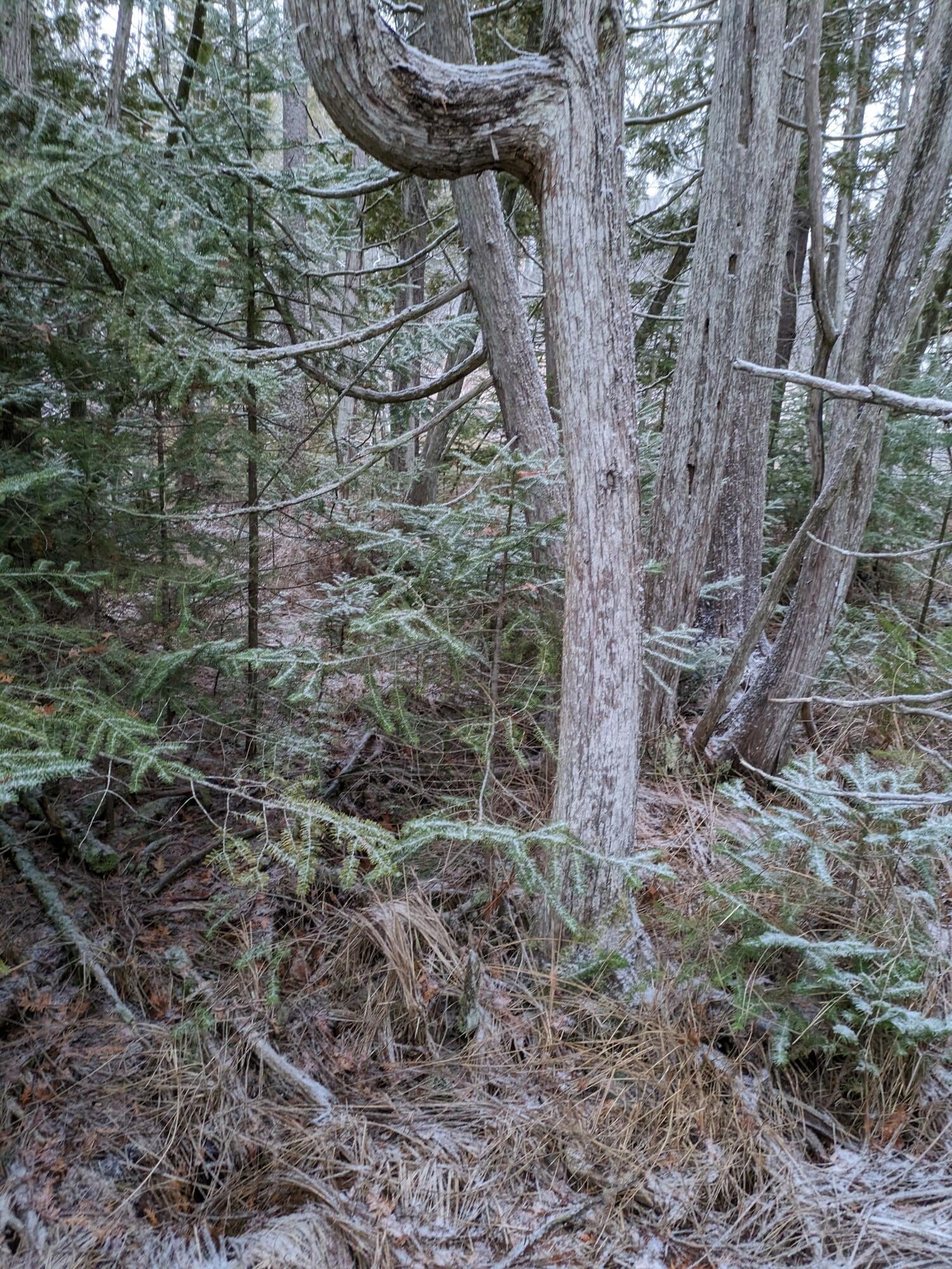 12642 Airport Road Atlanta, MI 49709 - Photo 59 of 105 Gallery Image 59