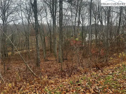 $248,000 | Lot 85 Sweet Pea Lane, Blowing Rock, NC 28605