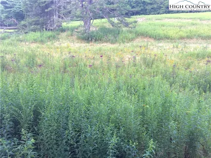 $248,000 | Lot 85 Sweet Pea Lane, Blowing Rock, NC 28605