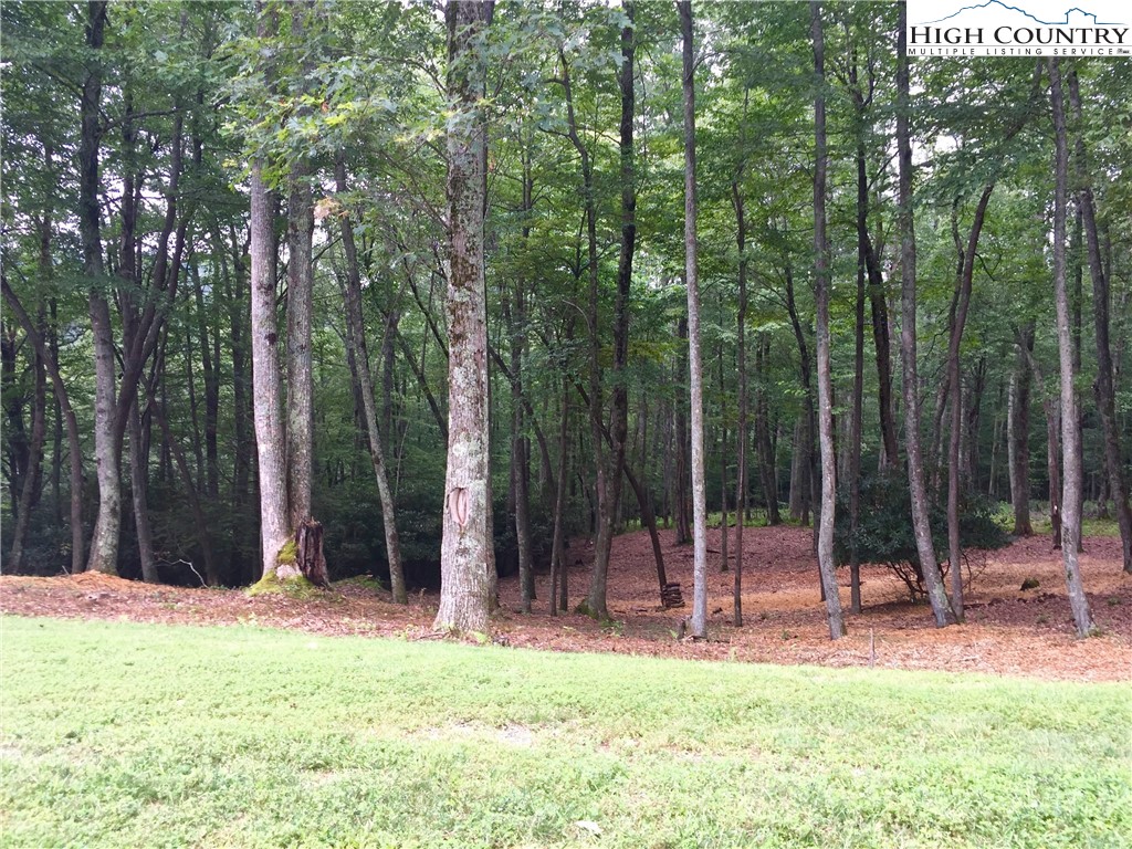 Lot 85 Sweet Pea Lane Blowing Rock, NC 28605 - Photo 5 of 6