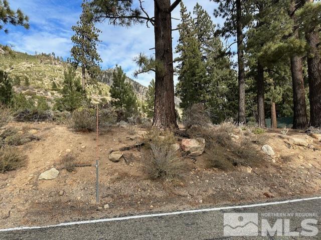 86 Pony Express Trail Markleeville, CA 96120 - Photo 11 of 24 a view of a yard with wooden fence