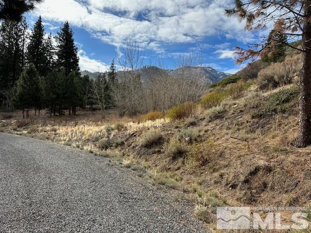 86 Pony Express Trail Markleeville, CA 96120 - Photo 12 of 24 a view of a yard with a tree