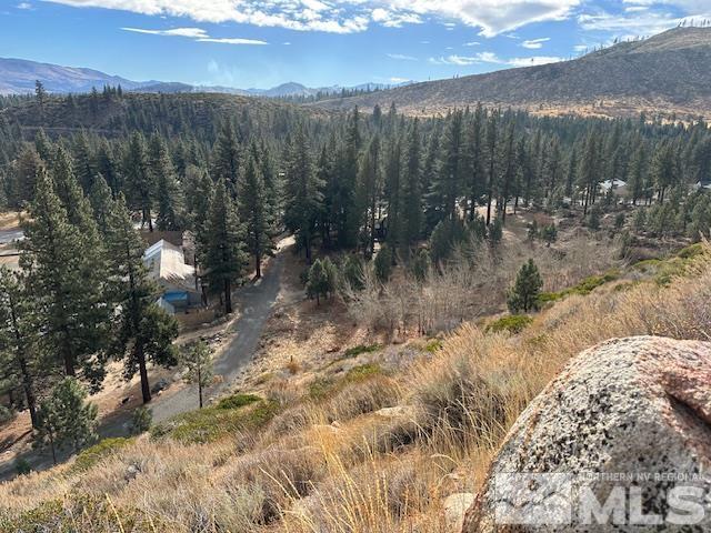 86 Pony Express Trail Markleeville, CA 96120 - Photo 13 of 24 a view of a yard with wooden fence
