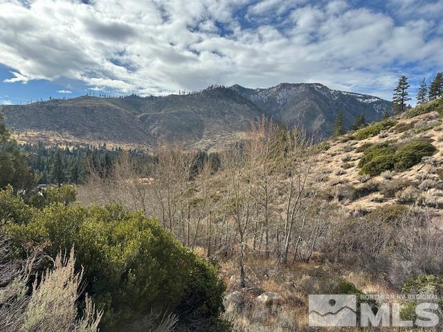 86 Pony Express Trail Markleeville, CA 96120 - Photo 16 of 24 a view of a lake in middle of the forest