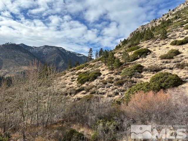 86 Pony Express Trail Markleeville, CA 96120 - Photo 17 of 24 a view of a houses with a yard