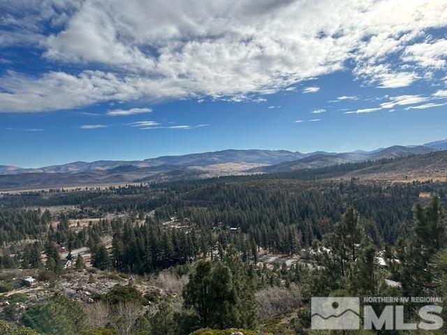 86 Pony Express Trail Markleeville, CA 96120 - Photo 19 of 24 a view of lake with mountain