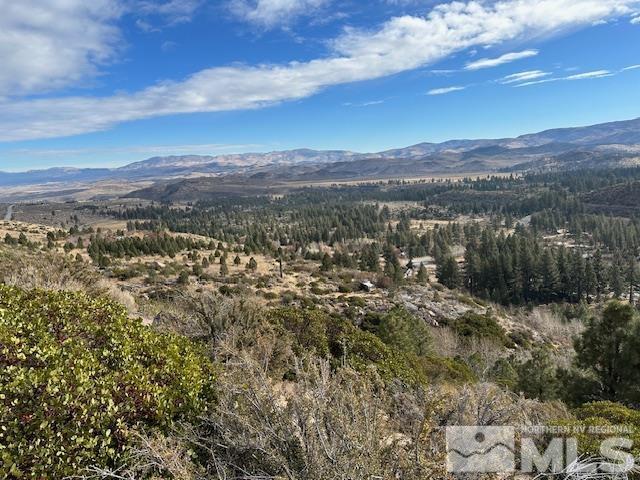 86 Pony Express Trail Markleeville, CA 96120 - Photo 20 of 24 a view of lake with mountain