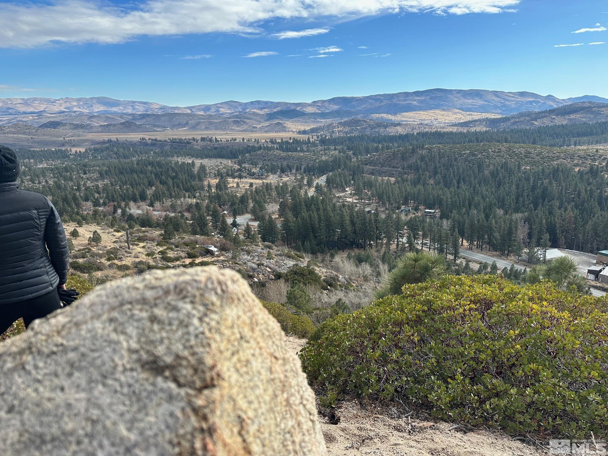 86 Pony Express Trail Markleeville, CA 96120 - Photo 2 of 24 a view of a yard
