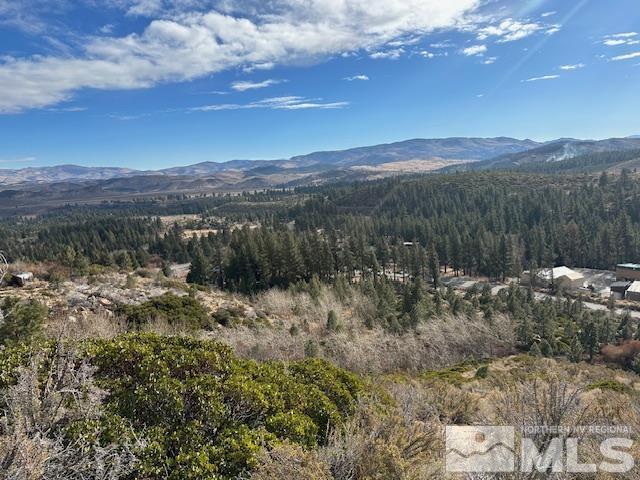 86 Pony Express Trail Markleeville, CA 96120 - Photo 21 of 24 a view of a forest with mountains in the background