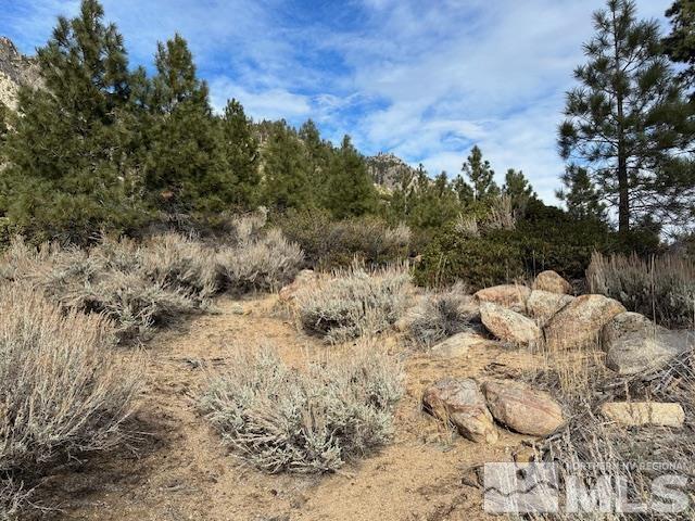 86 Pony Express Trail Markleeville, CA 96120 - Photo 23 of 24