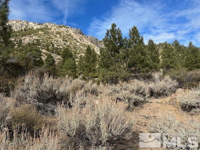 86 Pony Express Trail Markleeville, CA 96120 - Photo 24 of 24 a view of a field