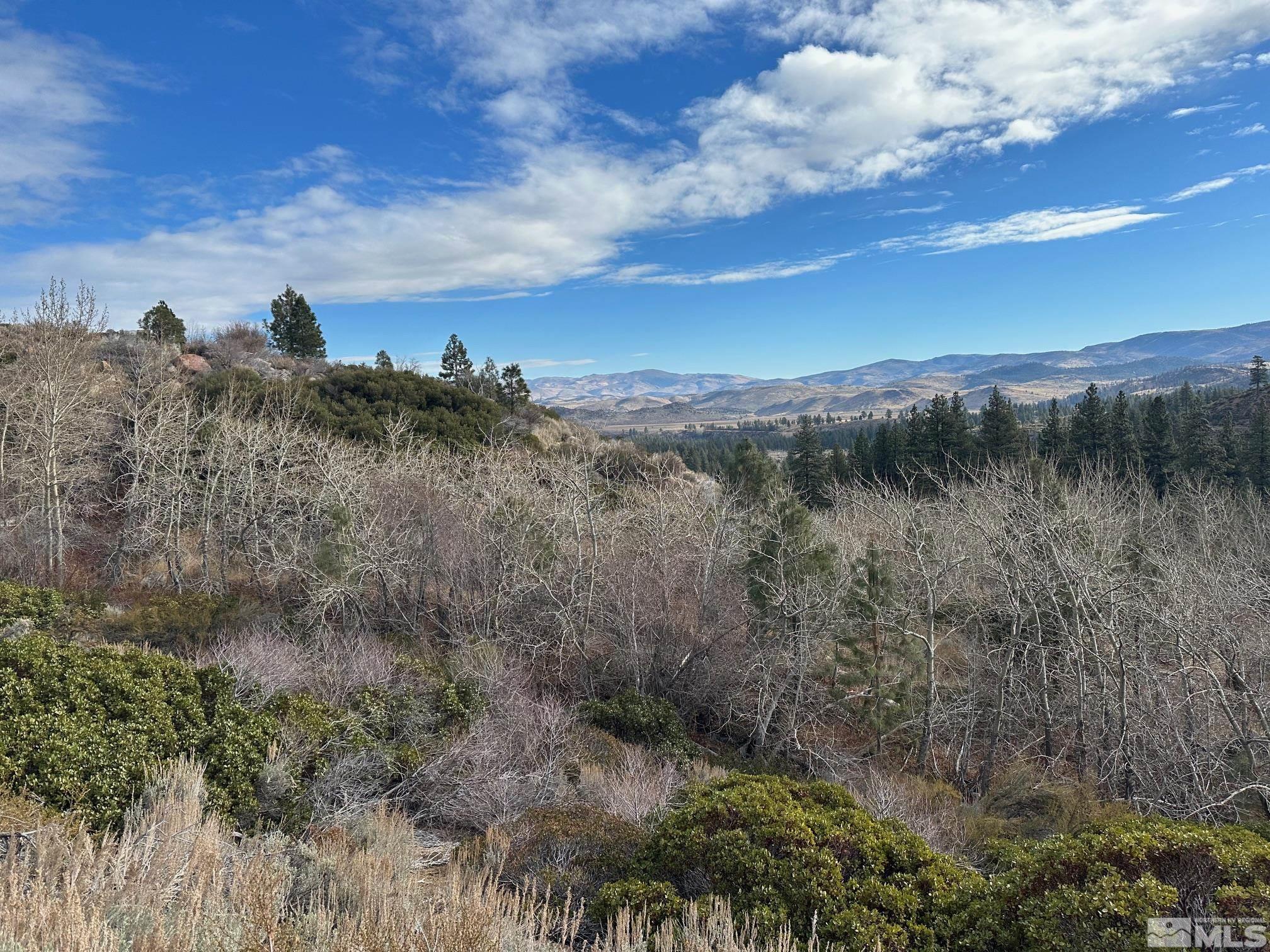 86 Pony Express Trail Markleeville, CA 96120 - Photo 4 of 24 a view of a lake in middle of forest