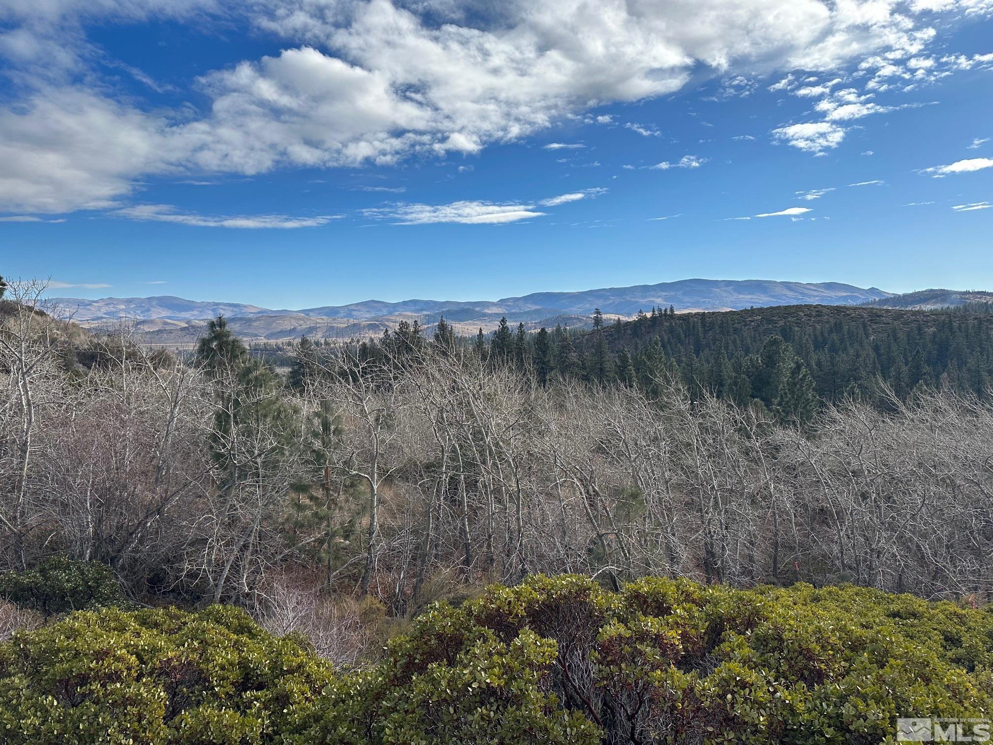 86 Pony Express Trail Markleeville, CA 96120 - Photo 5 of 24 a view of a yard with an outdoor seating and mountain view