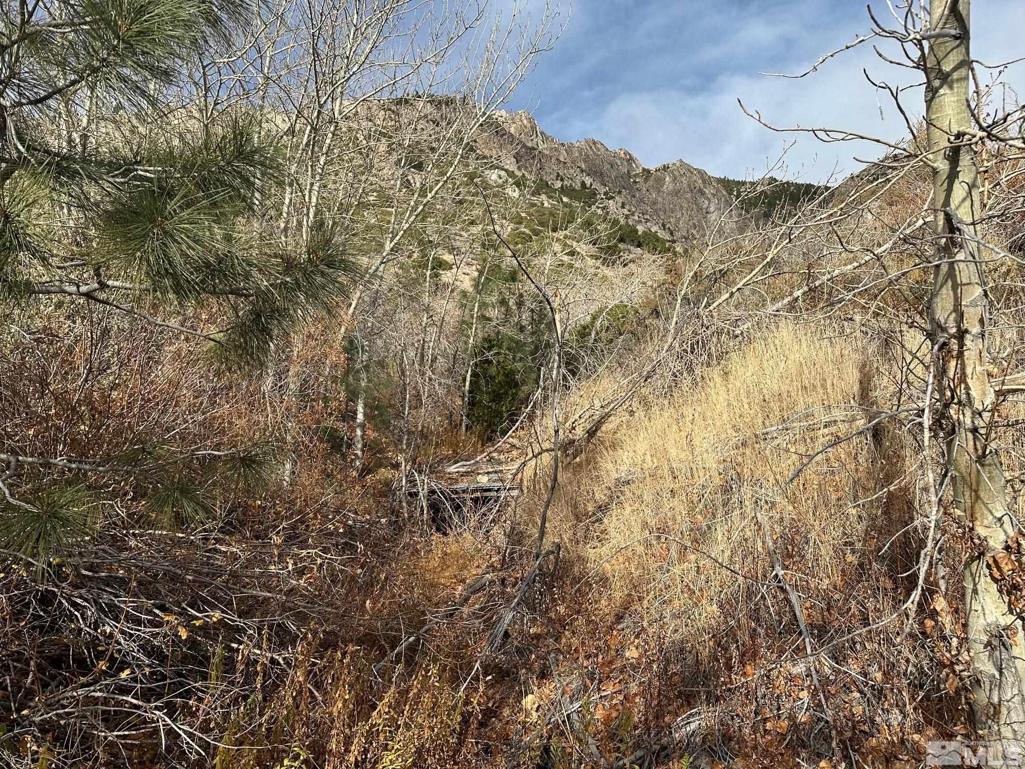 86 Pony Express Trail Markleeville, CA 96120 - Photo 8 of 24 a view of mountains