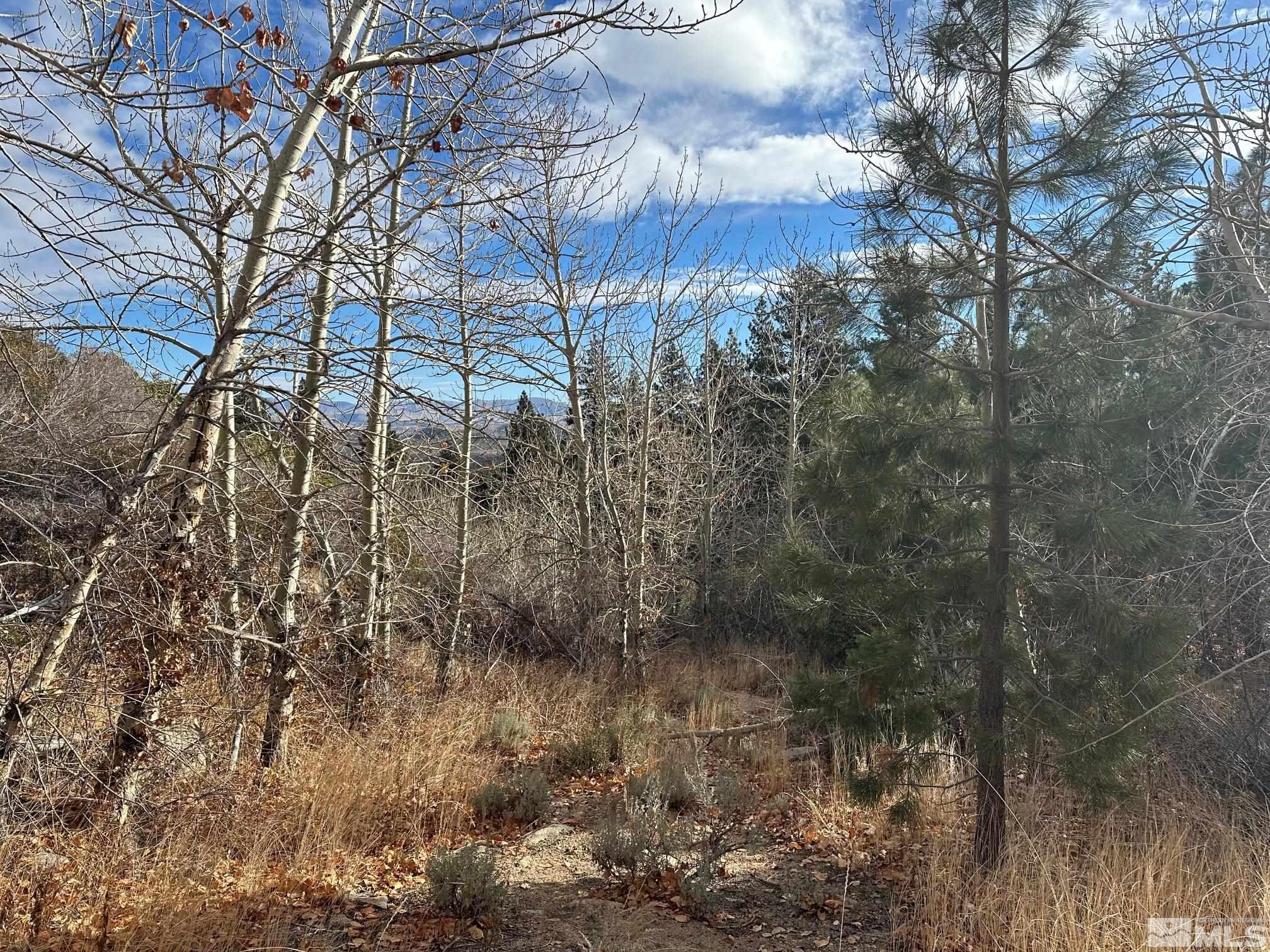 86 Pony Express Trail Markleeville, CA 96120 - Photo 9 of 24