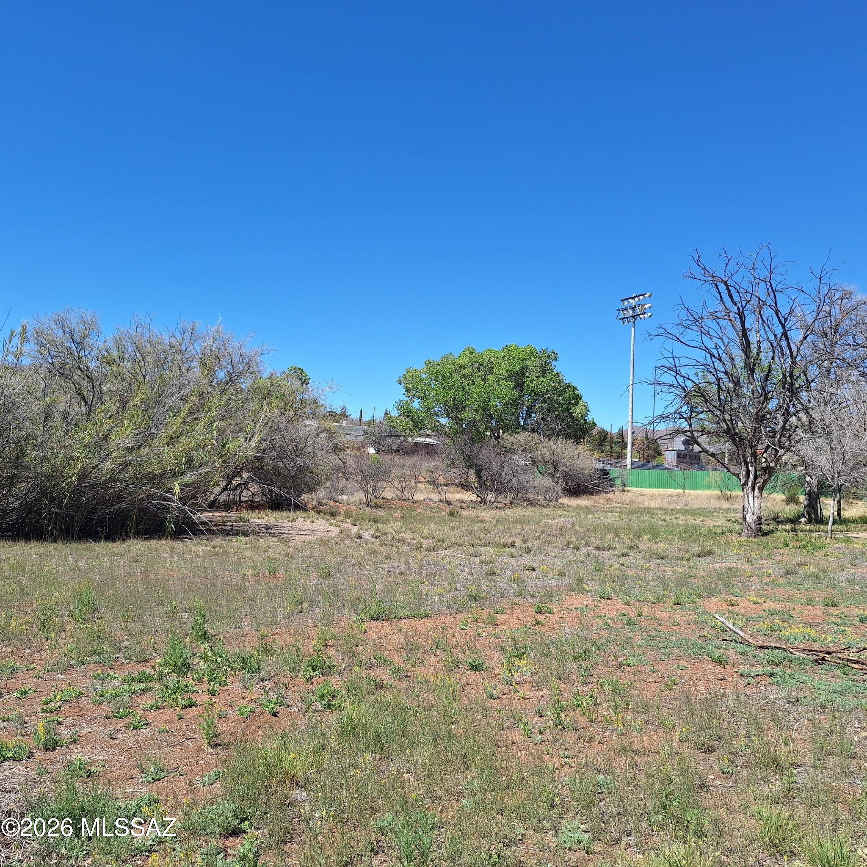 3 Arizona Street Bisbee, AZ 85603 - Photo 7 of 13 a view of a dry yard with trees