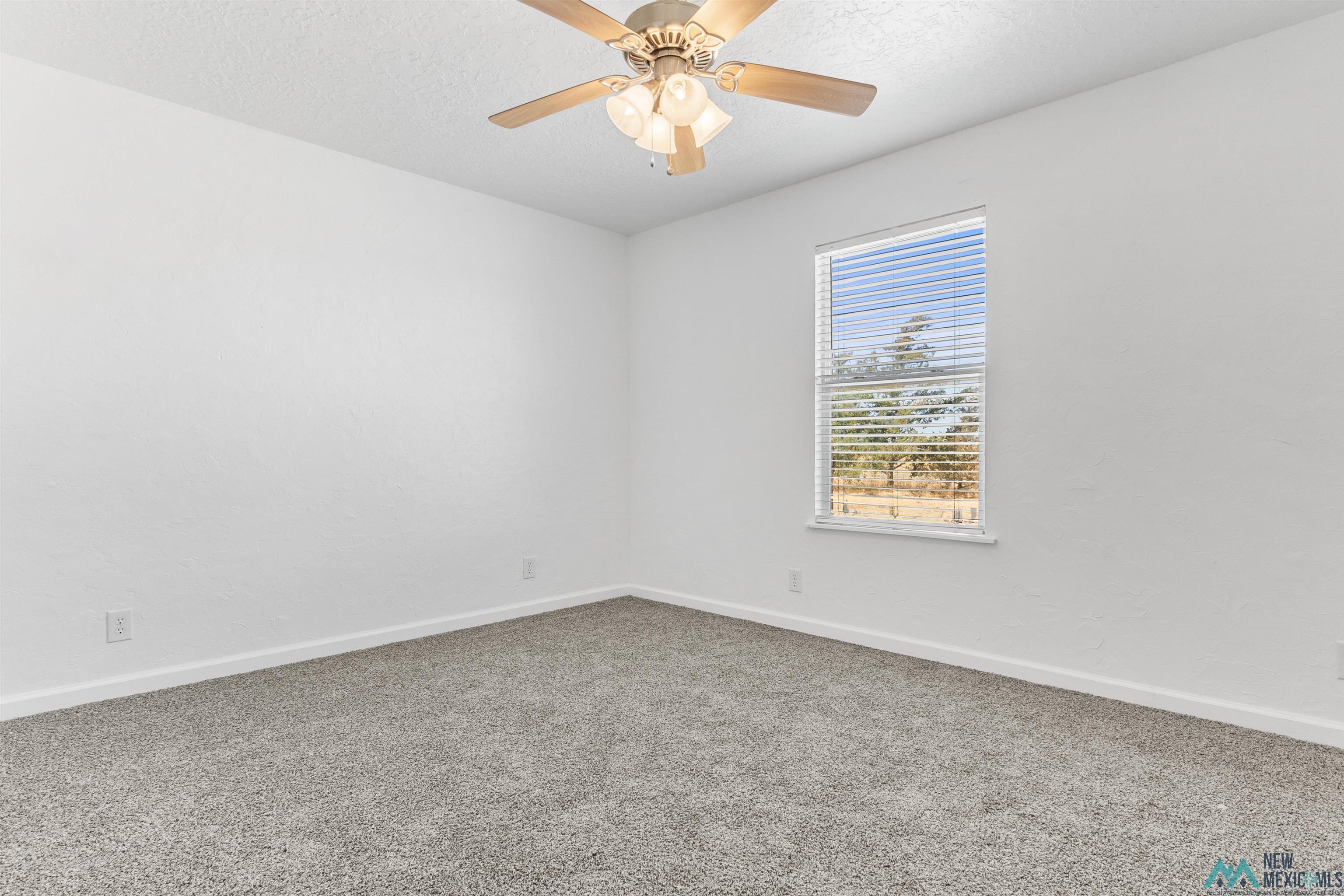 1691 County Rd K Clovis, NM 88101 - Photo 13 of 22 Carpeted spare room featuring a textured ceiling and ceiling fan