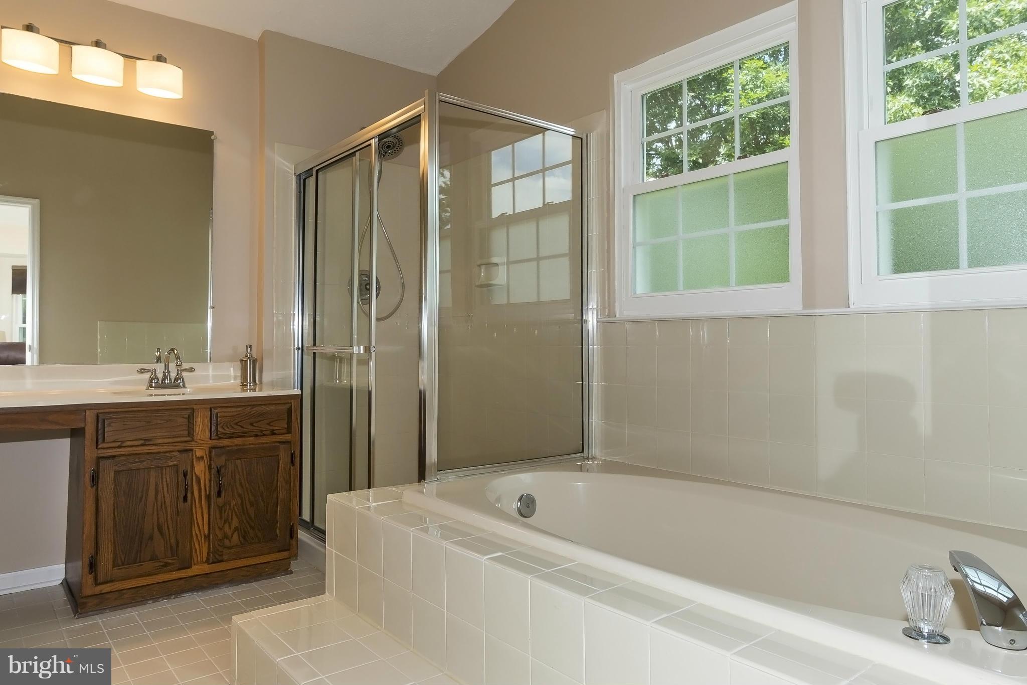 12110 Red Stream Way Columbia, MD 21044 - Photo 19 of 30 Bath (Master)