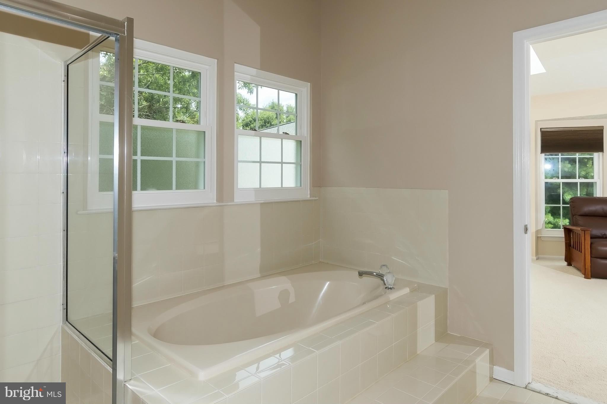 12110 Red Stream Way Columbia, MD 21044 - Photo 20 of 30 Bath (Master)