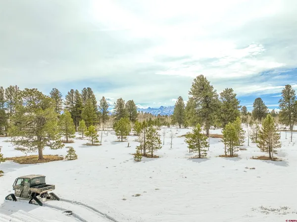 a view of a beach with a snow on the beach