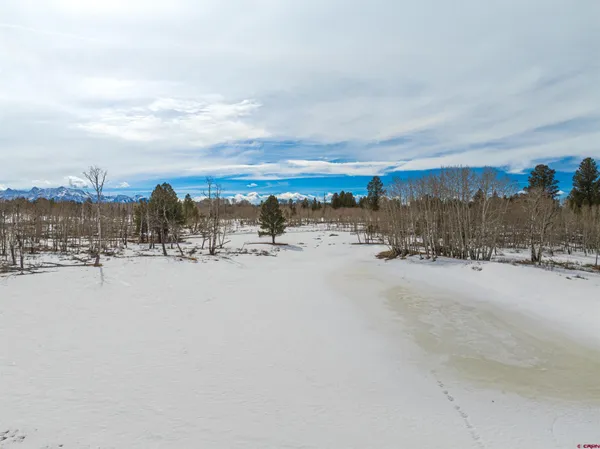 a view of outdoor space with trees