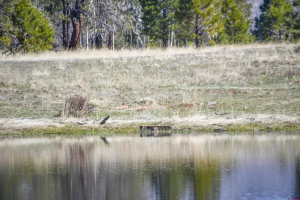 a view of a lake with trees